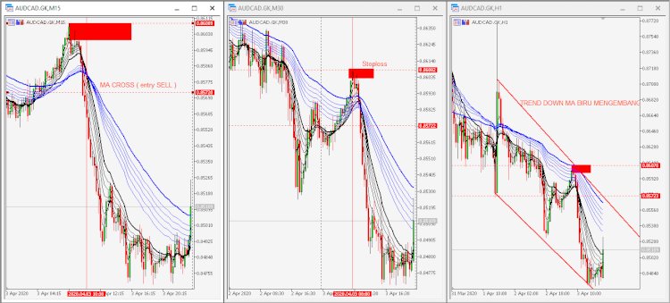 Guppy Strategi trading legenda profit konsisten dengan menggunakan Multi MA