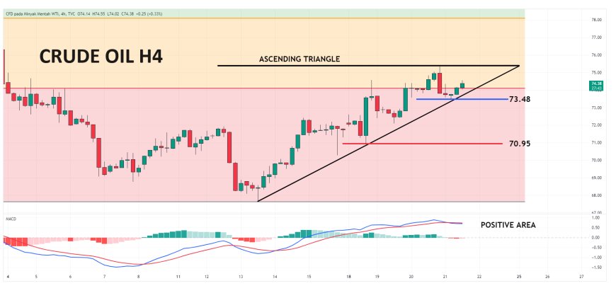 Minyak Mentah Masih Dalam Tekanan Bearish Menyusul Tingginya Persediaan Minyak AS